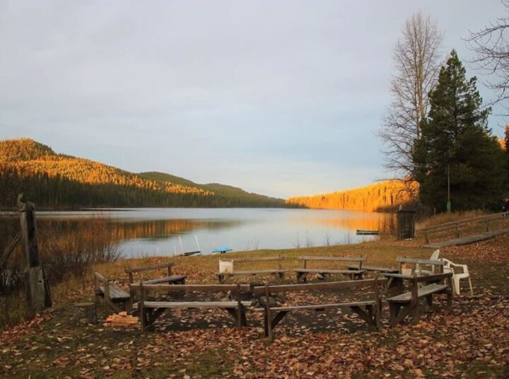 Conference & AGM Update